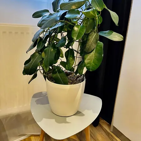 Apartment Deluxe Franken *